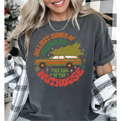 Jolliest Bunch Of this side of the Nuthouse Comfort Colors Shirt Jolliest Bunch of Assholes Christmas Group Shirt LS713