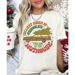 Jolliest Bunch Of this side of the Nuthouse Comfort Colors Shirt Jolliest Bunch of Assholes Christmas Group Shirt LS713