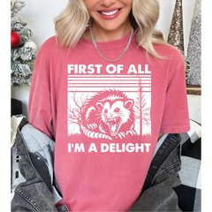 Retro First Of All I’m A Delight Sarcastic Angry Opossum Shirt Comfort Colors Funny Opossum Lover Shirt Cute