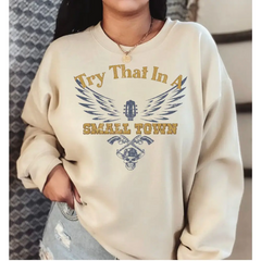 Try That In A Small Town I Stand With Sweatshirt American Flag Quote Concert Sweathirt, Country Music Sweatshirt LS529