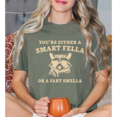 You Are A Smart Fella Or Fart Smella Comfort Colors Shirt Weird Shirt Funny Meme Shirt Trash Panda Shirt LS895