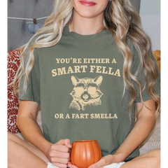 You Are A Smart Fella Or Fart Smella Comfort Colors Shirt Weird Shirt Funny Meme Shirt Trash Panda Shirt LS895