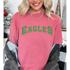 Eagles Comfort Colors Shirt Eagles Tee Eagles Shirt LS762 - Physical