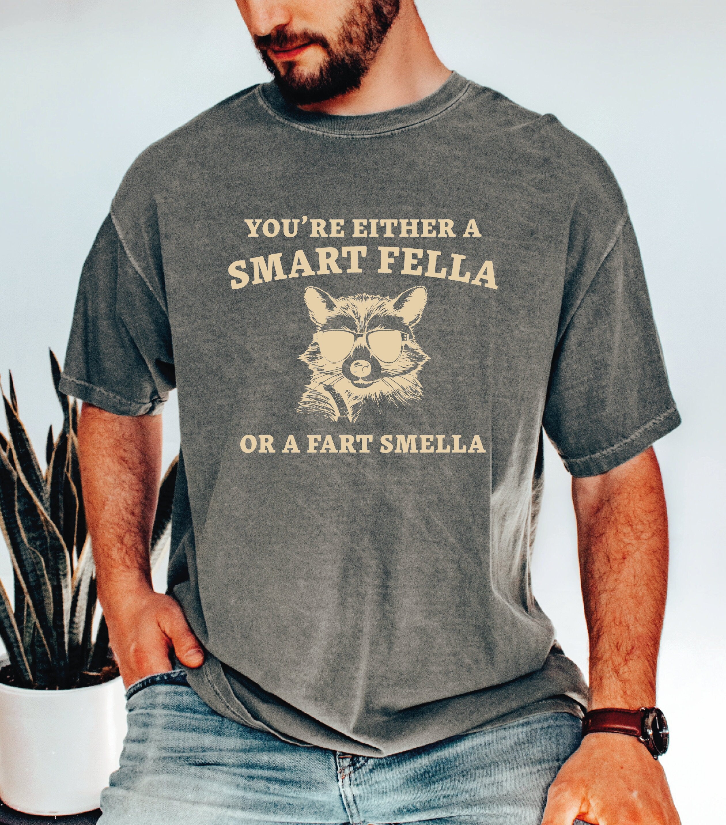 You Are A Smart Fella Or Fart Smella Comfort Colors Shirt Weird Shirt Funny Meme Shirt Trash Panda Shirt LS895