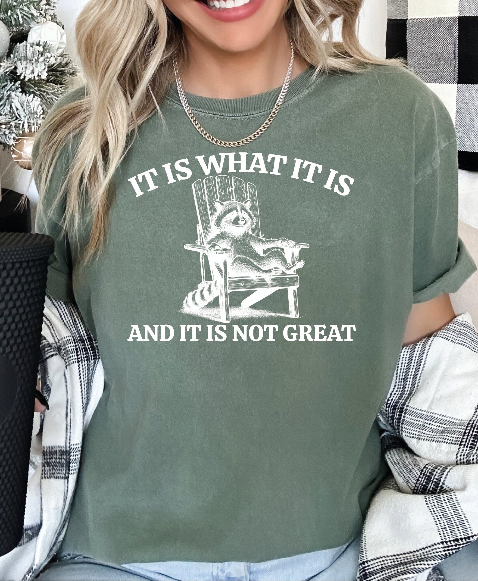 Comfort Colors It Is What It Is And It Is Not Great Shirt Funny Raccoon Shirt Funny Meme Opossum Shirt Raccoon Meme Tee